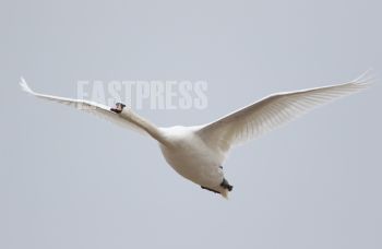 EA264557, Eastpress, Porvoo, Finland